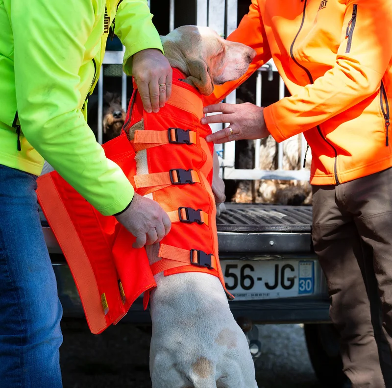 Gilet God Armor V3 T50